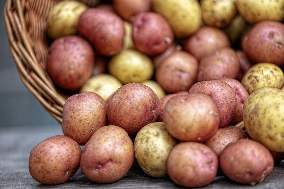 Стало известно, какой картофель пользуется спросом у белорусов